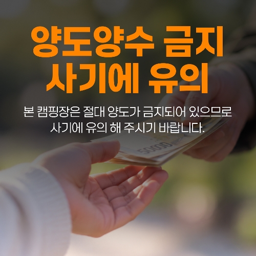 양도양수금지